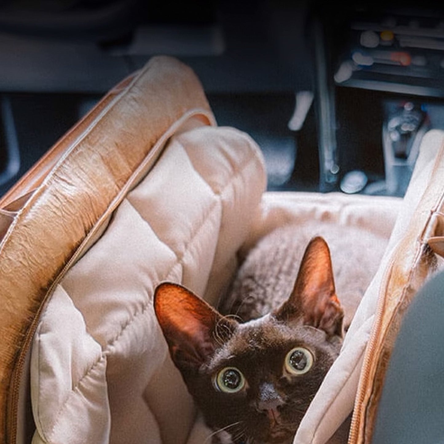 Dierentransporttas - PawNest - Draagbaar Ontwerp - Geventileerd Comfort