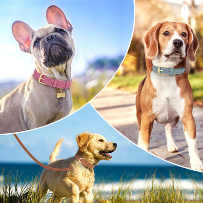 Duurzame Leren Hondenriem - LeashPro - Comfortabele Grip - Stijlvol Ontwerp