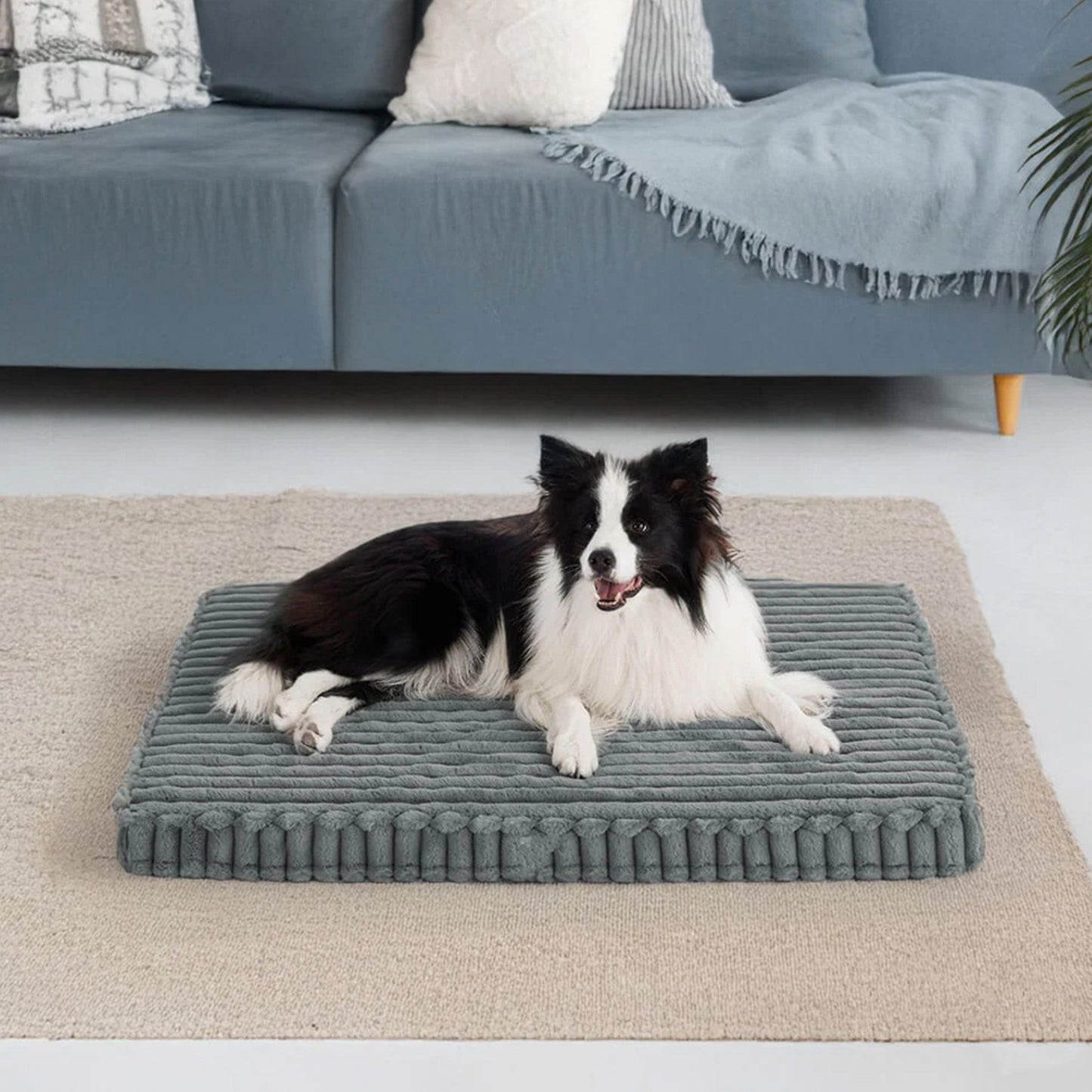 Orthopedisch Dierenbed - PawsRest - Nepbont - Warme Ondersteuning