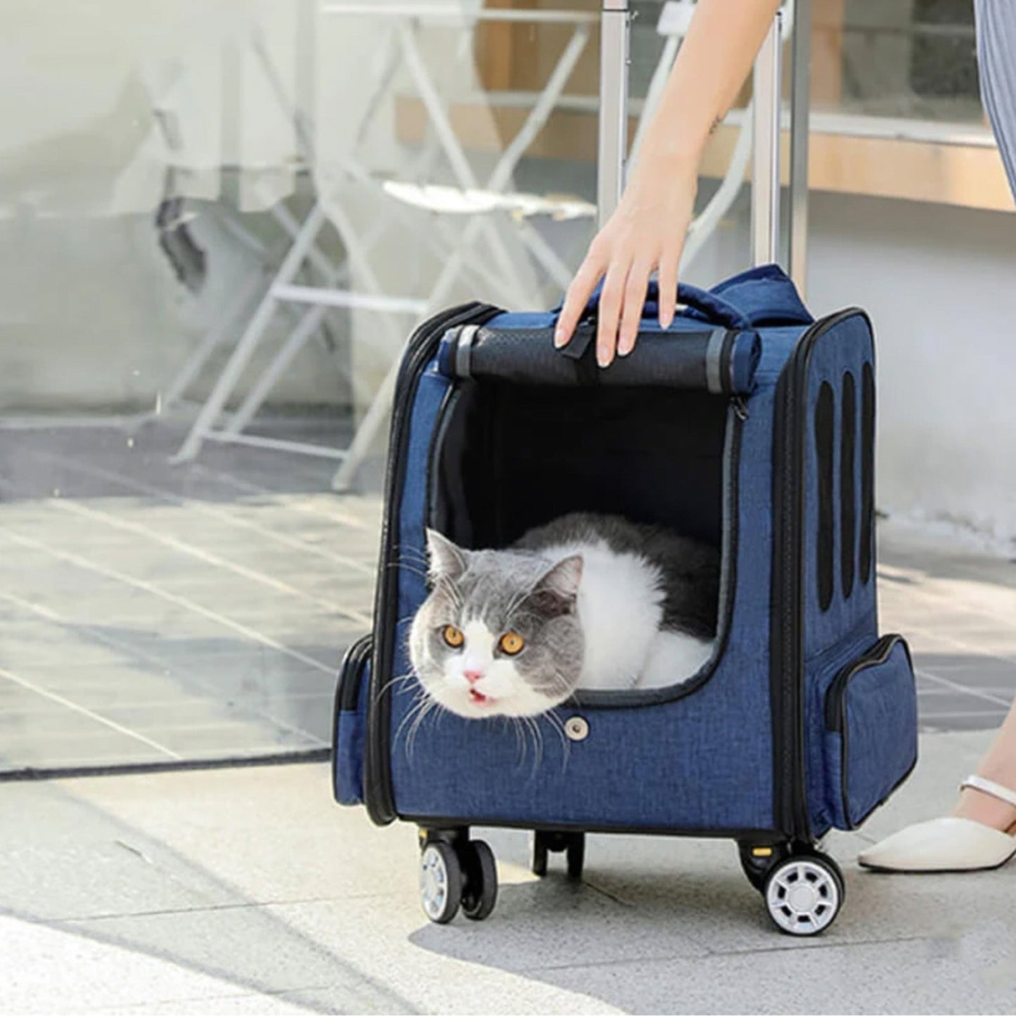 Huisdier Reisrugzak - PawVoyager - Opvouwbaar Ontwerp - Trolley Compatibel