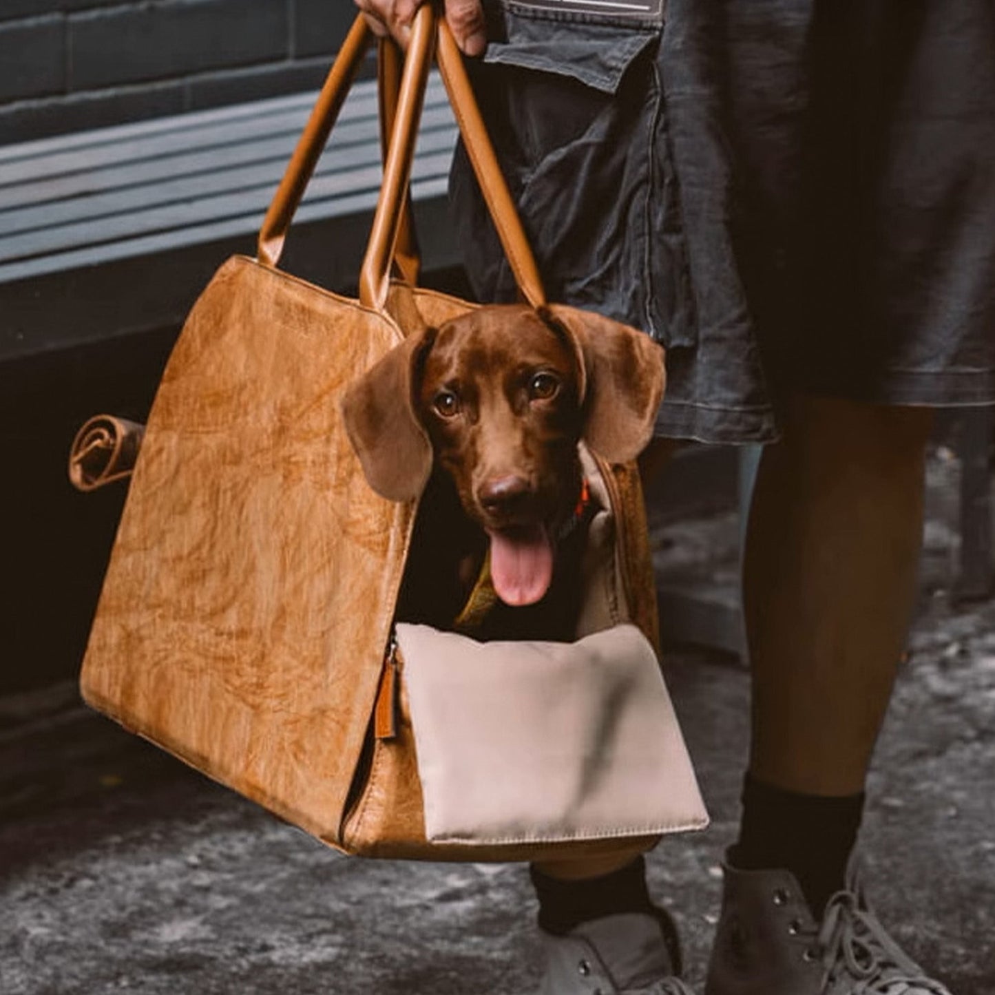 Dierentransporttas - PawNest - Draagbaar Ontwerp - Geventileerd Comfort