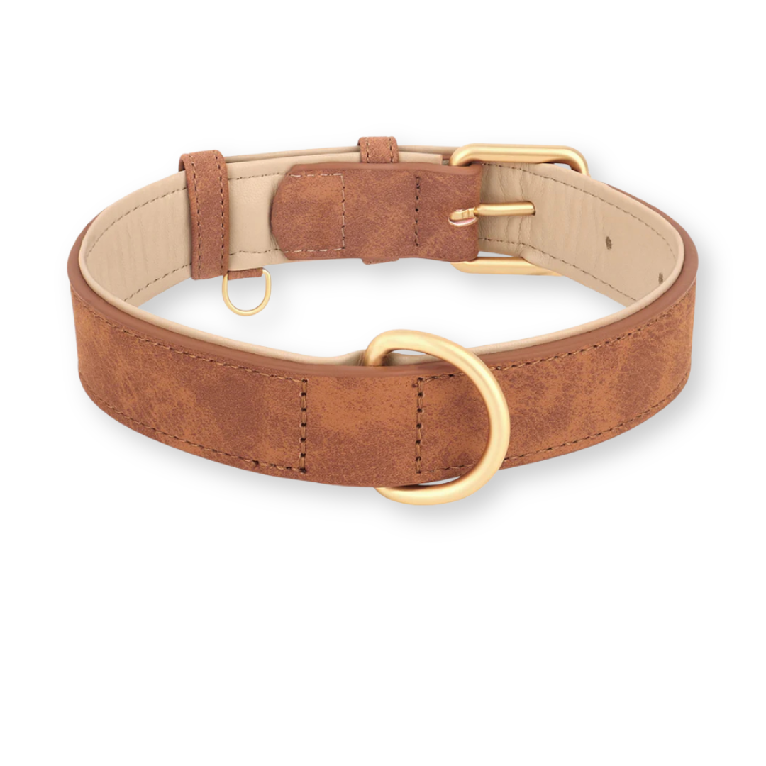 Duurzame Leren Hondenriem - LeashPro - Comfortabele Grip - Stijlvol Ontwerp