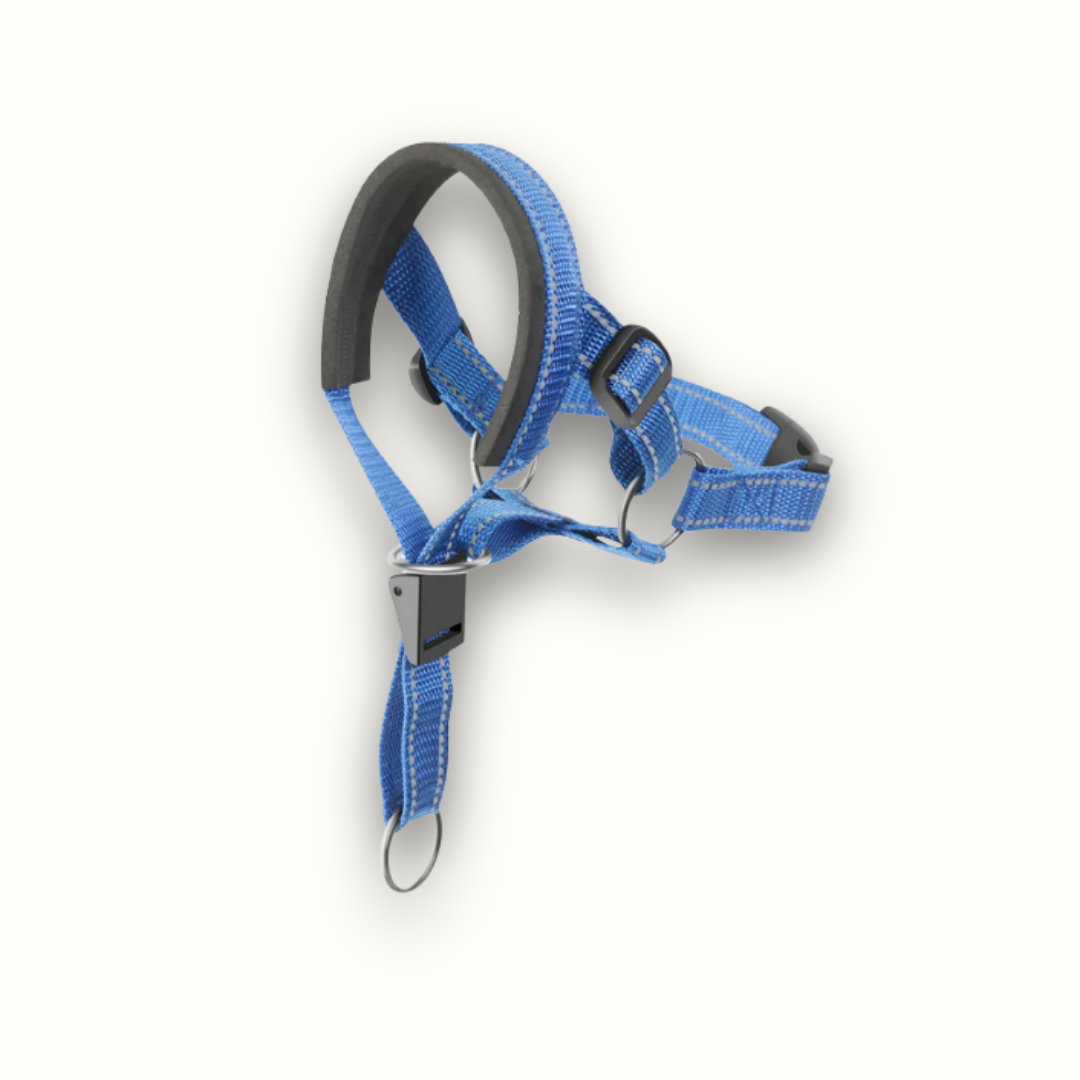 Eenvoudige Controle Hondenharnas - PullEase - Verstelbare Pasvorm - Probleemloos Ontwerp