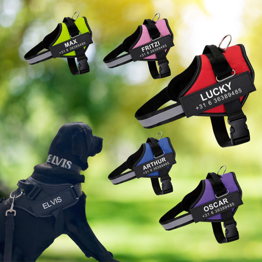 Gepersonaliseerd Hondentuigje - PawSafe - Trekvrij Ontwerp - Reflecterend en Verstelbaar