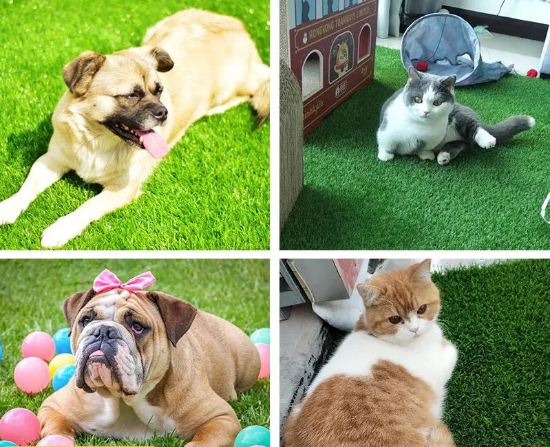 Honden Pootreiniger Beker - PawFresh - Zachte Reiniging - Draagbaar Ontwerp