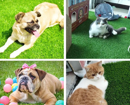 Honden Pootreiniger Beker - PawFresh - Zachte Reiniging - Draagbaar Ontwerp