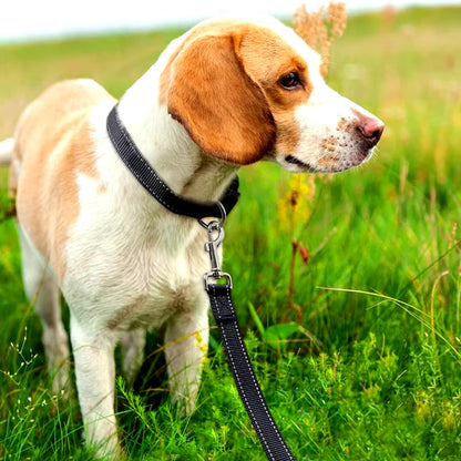 Hondenriem - SafeWalk - Reflecterend Materiaal - Duurzaam Design