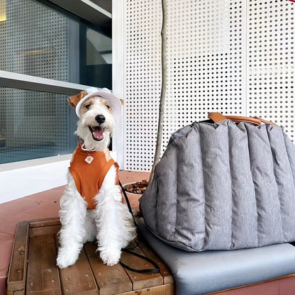 Dierenreistas - PawPort - Draagbare Draagtas - Comfortabel Ontwerp