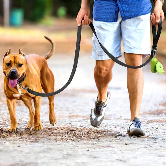 Hondenriem - SafeWalk - Reflecterend Materiaal - Duurzaam Design