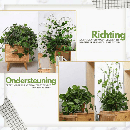 Planten Clips - GrowMax - Verstelbare Ondersteuning - Verticale Tuinieren