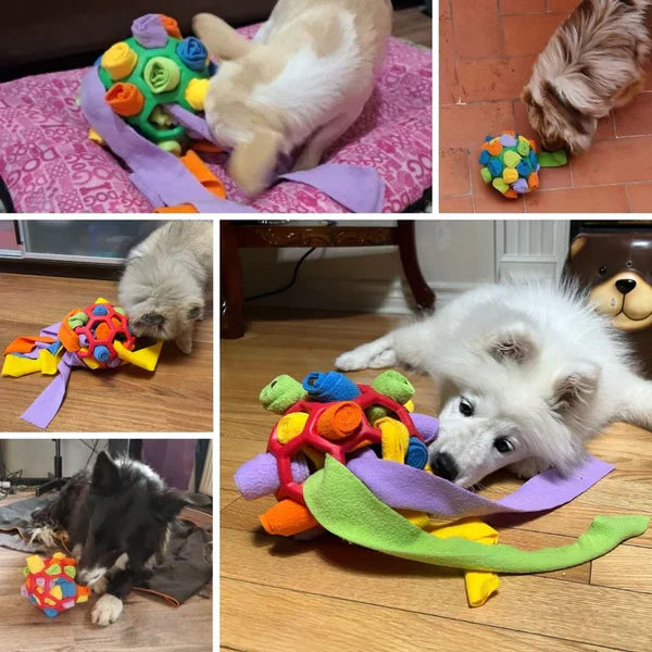 Hond Snuffelbal - PawsIQ - Langzame Voeding - Interactieve Training