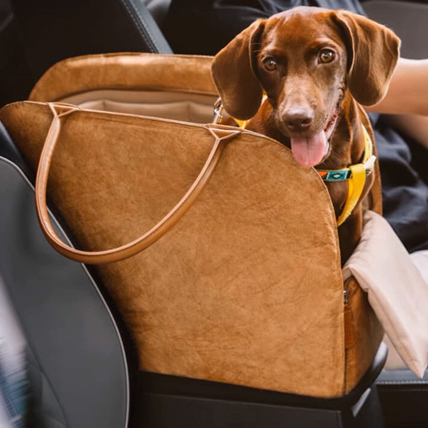 Dierentransporttas - PawNest - Draagbaar Ontwerp - Geventileerd Comfort