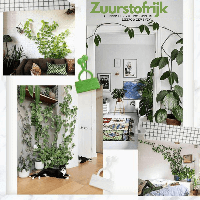 Planten Clips - GrowMax - Verstelbare Ondersteuning - Verticale Tuinieren