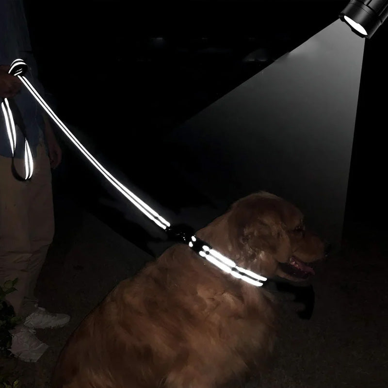 Hondenriem - SafeWalk - Reflecterend Materiaal - Duurzaam Design