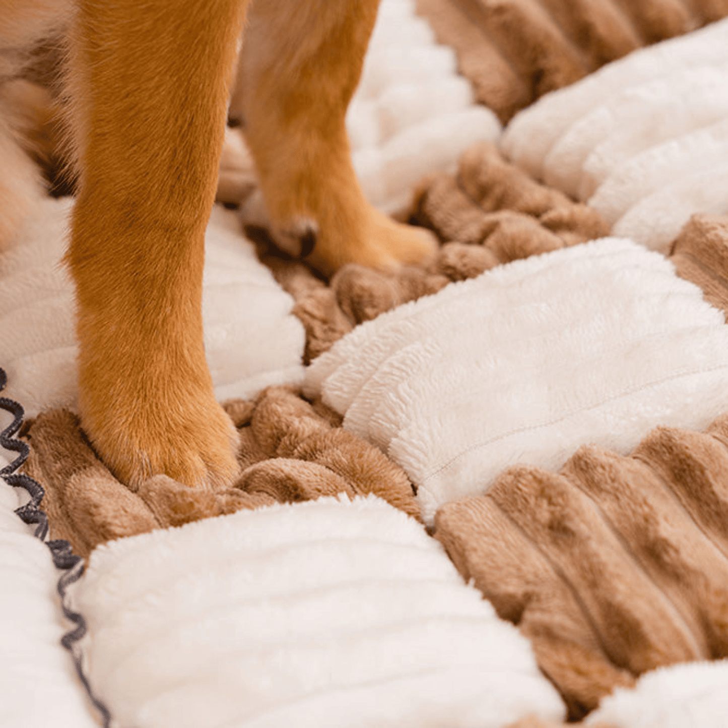 Bankbeschermer - FurGuard - Waterdicht Materiaal - Huisdiervriendelijk Ontwerp