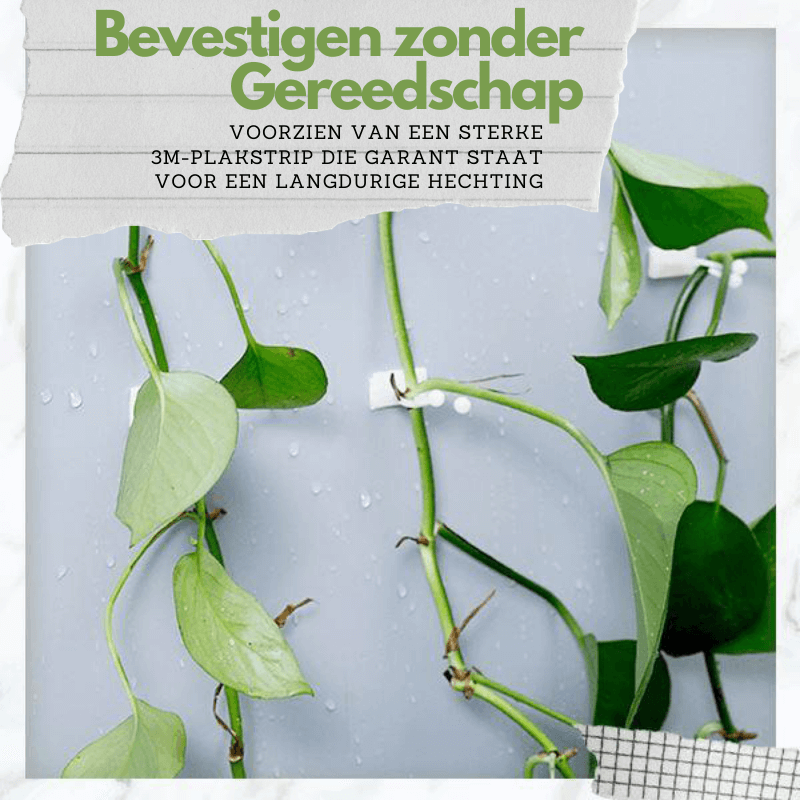 Planten Clips - GrowMax - Verstelbare Ondersteuning - Verticale Tuinieren