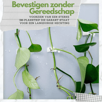 Planten Clips - GrowMax - Verstelbare Ondersteuning - Verticale Tuinieren