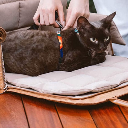 Dierentransporttas - PawNest - Draagbaar Ontwerp - Geventileerd Comfort