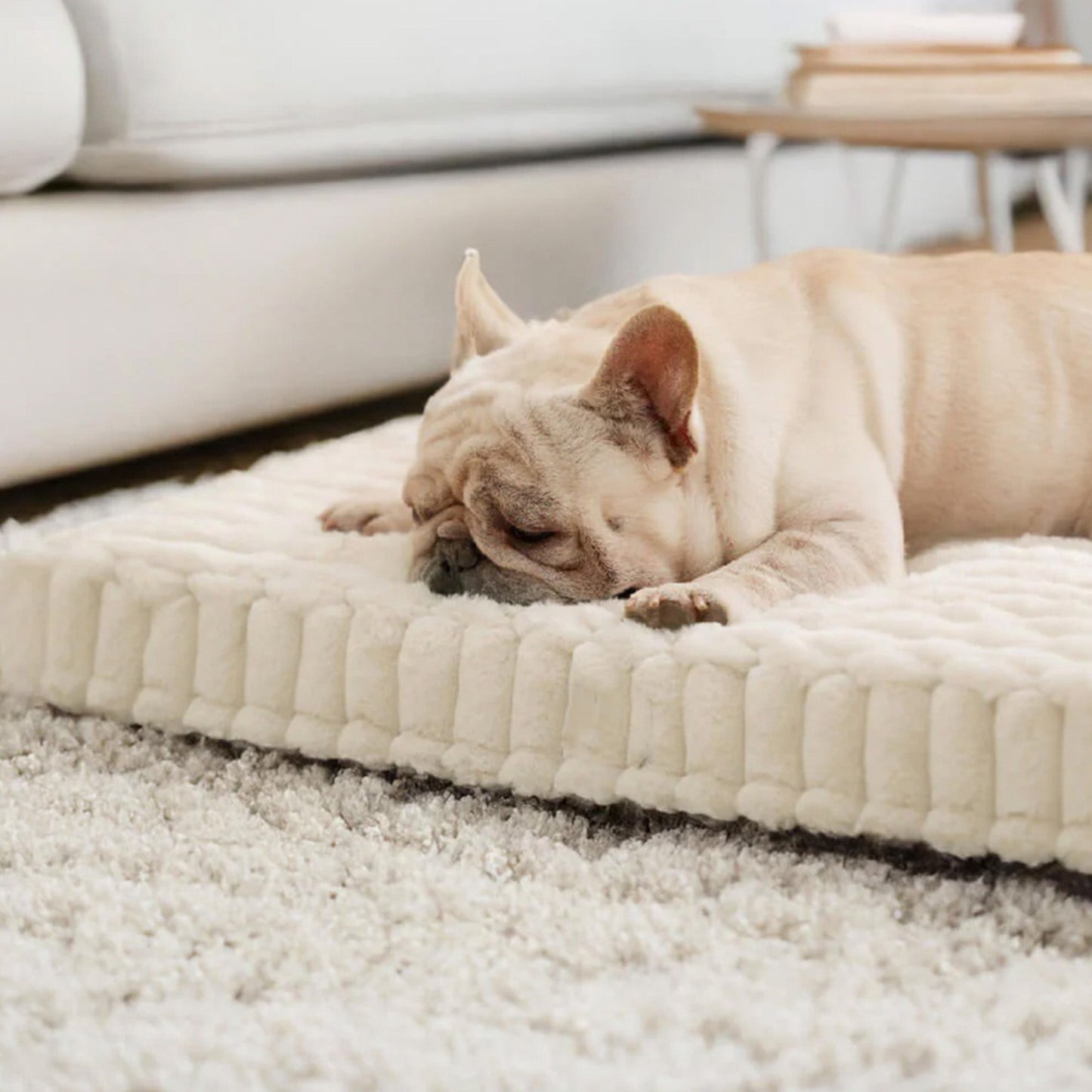 Orthopedisch Dierenbed - PawsRest - Nepbont - Warme Ondersteuning