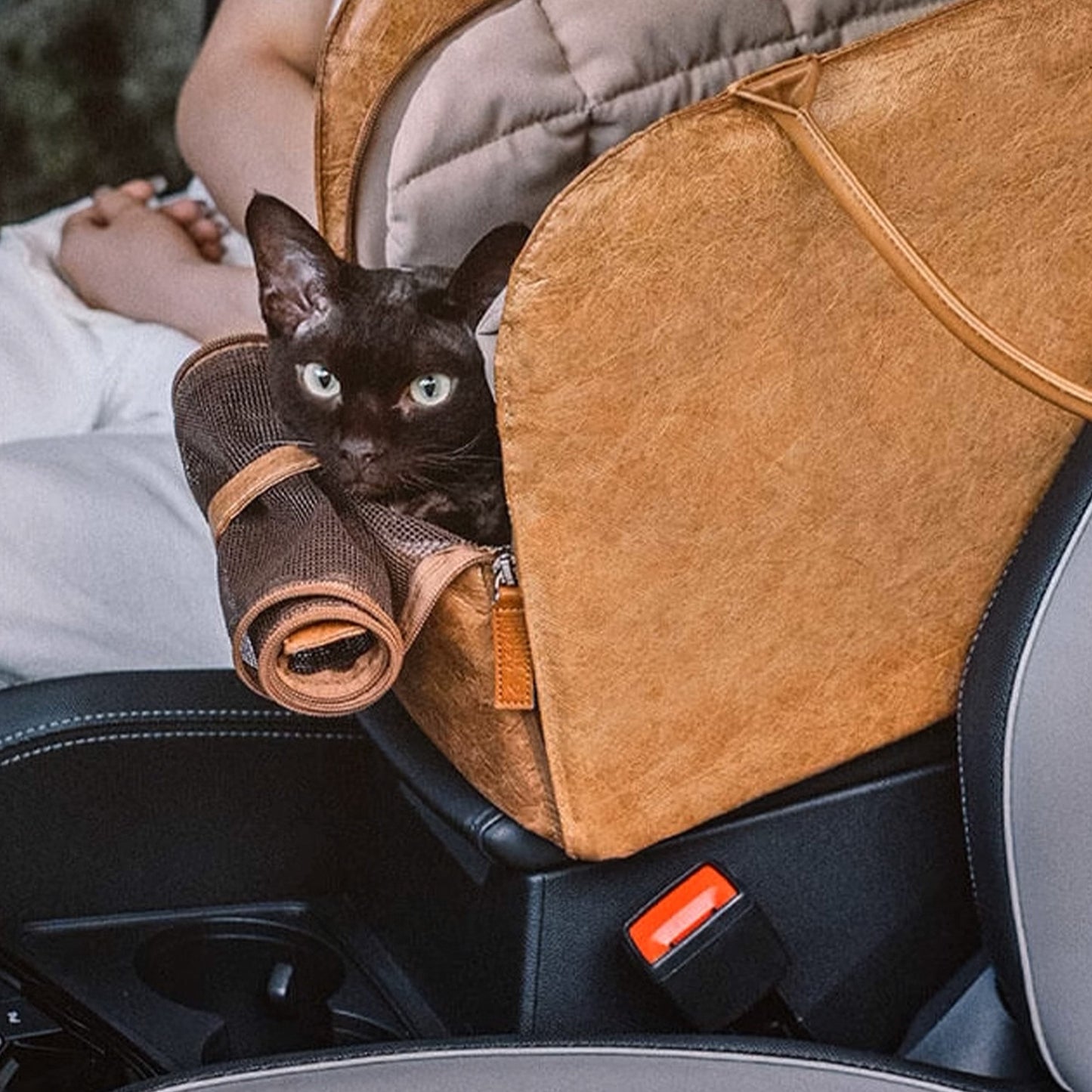 Dierentransporttas - PawNest - Draagbaar Ontwerp - Geventileerd Comfort