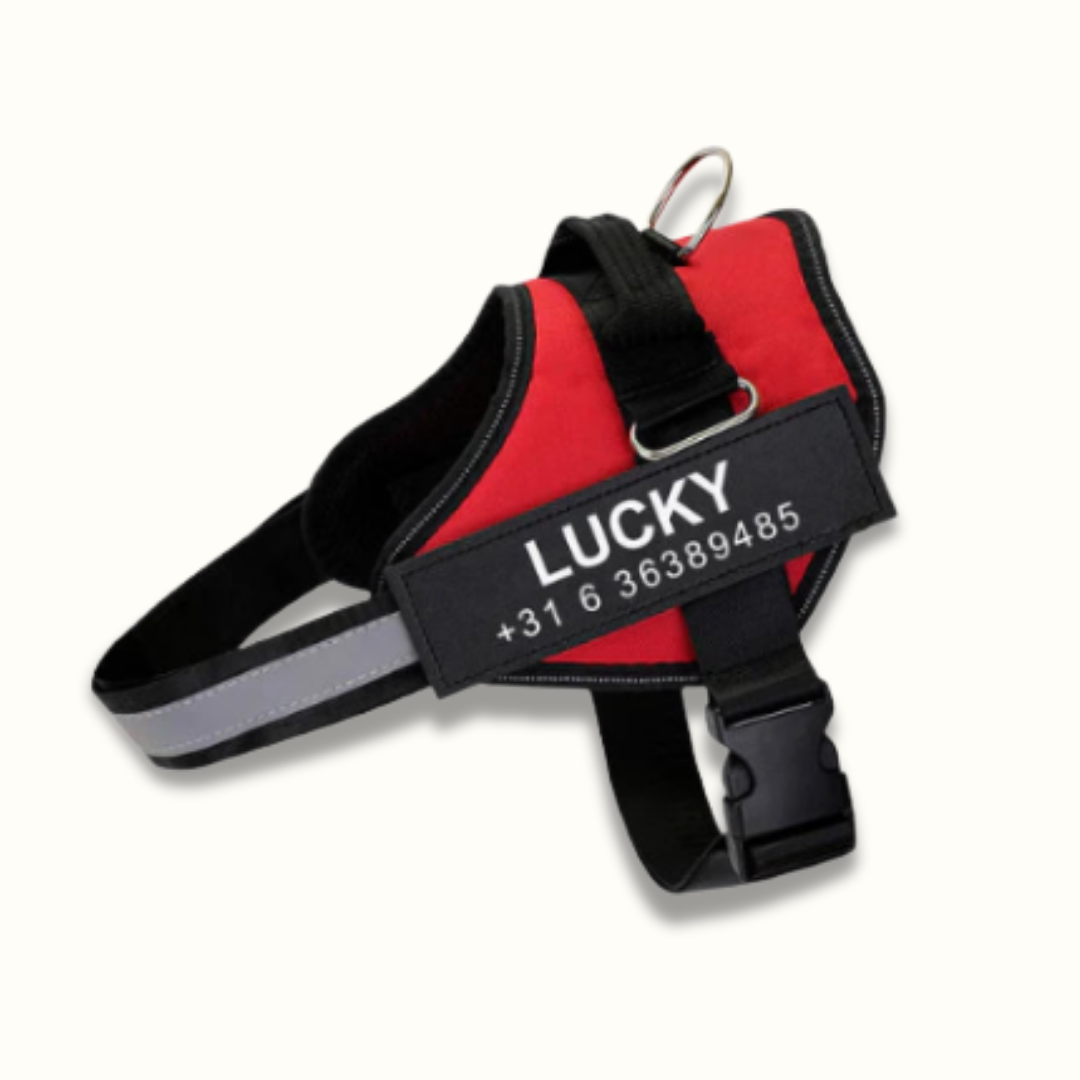 Gepersonaliseerd Hondentuigje - PawSafe - Trekvrij Ontwerp - Reflecterend en Verstelbaar