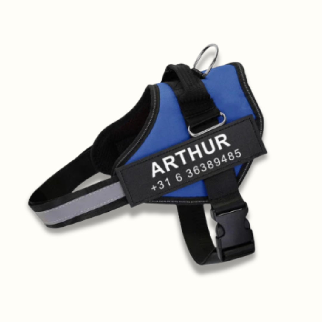 Gepersonaliseerd Hondentuigje - PawSafe - Trekvrij Ontwerp - Reflecterend en Verstelbaar