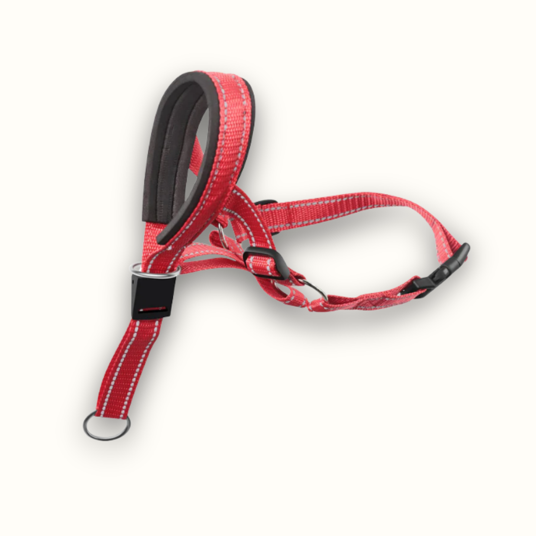 Eenvoudige Controle Hondenharnas - PullEase - Verstelbare Pasvorm - Probleemloos Ontwerp