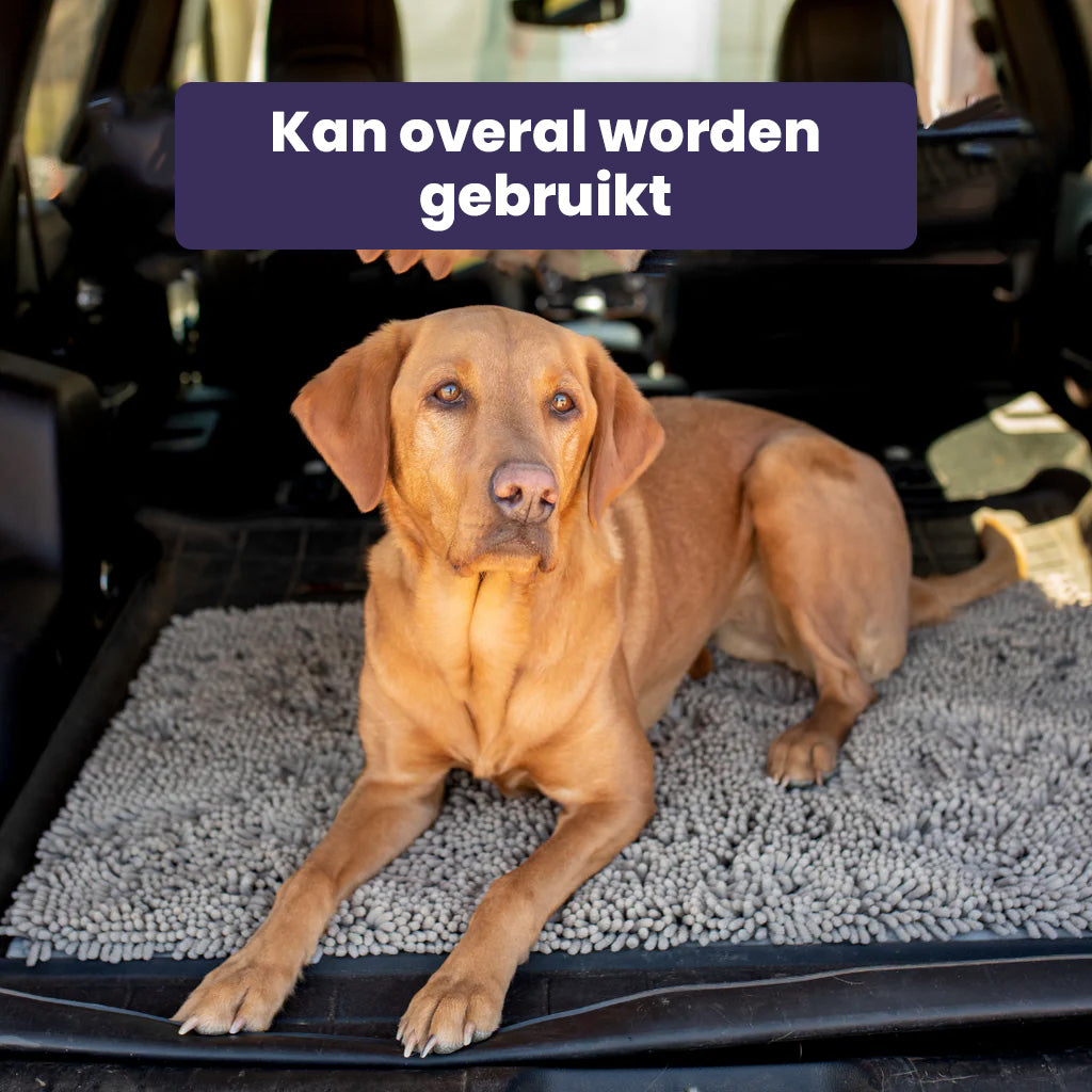 Honden Schoonloopmat - PawGuard - Super Absorberend - Vuilvangend
