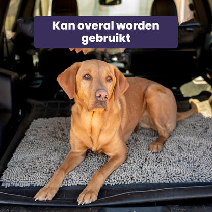 Honden Schoonloopmat - PawGuard - Super Absorberend - Vuilvangend