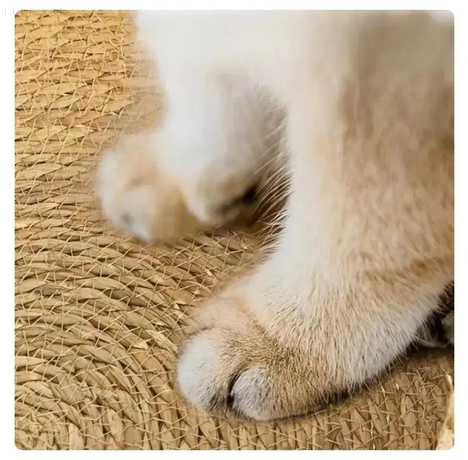 Kattenmand - CozyNest - Ultra Zacht - Ultiem Comfort