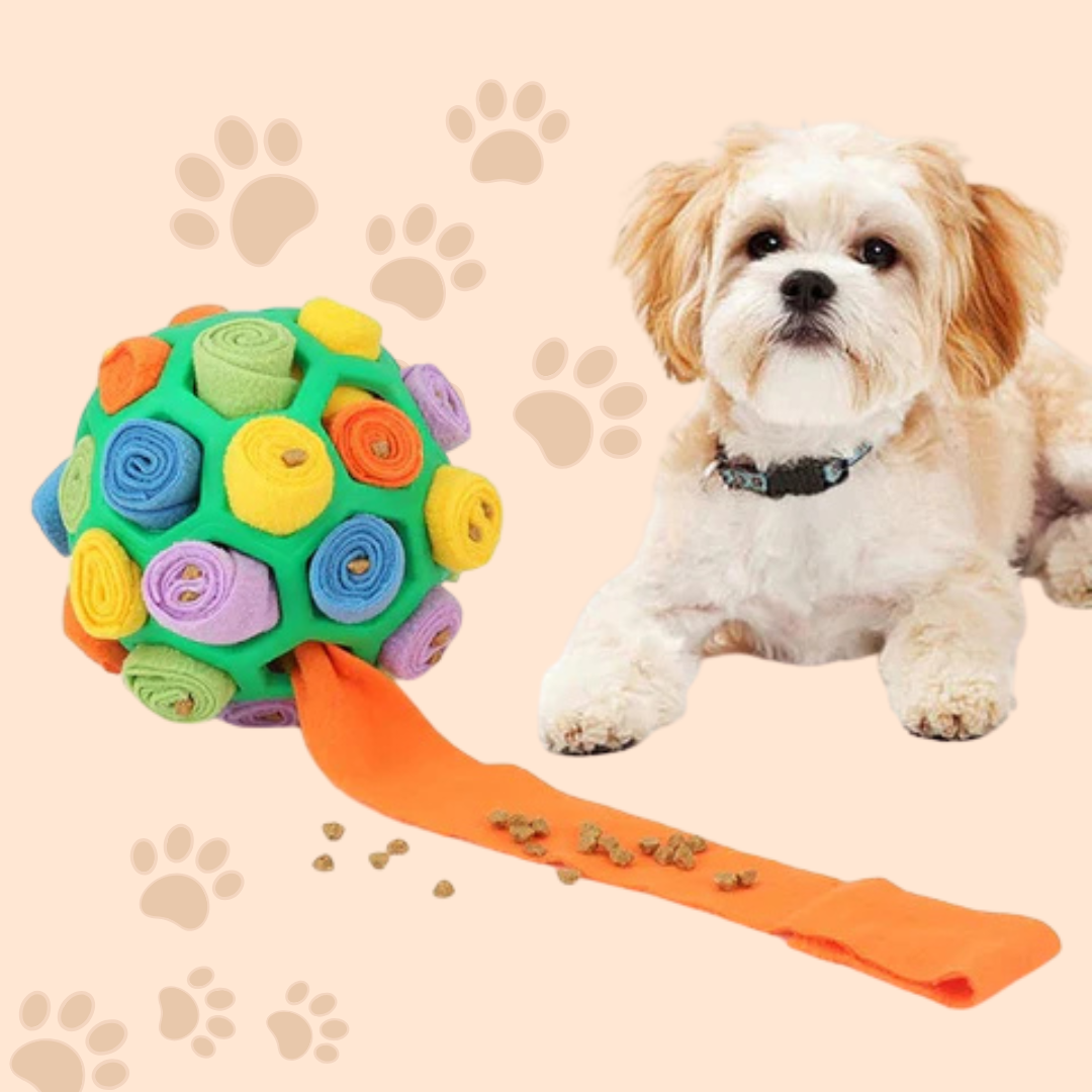 Hond Snuffelbal - PawsIQ - Langzame Voeding - Interactieve Training
