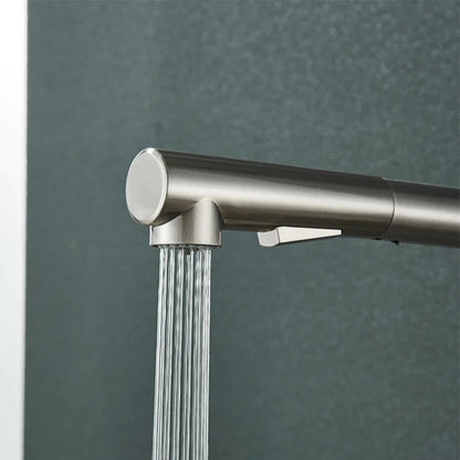 Keukenkraan - FlexiTap - Uittrekbare Tuit - Roestvrijstaal