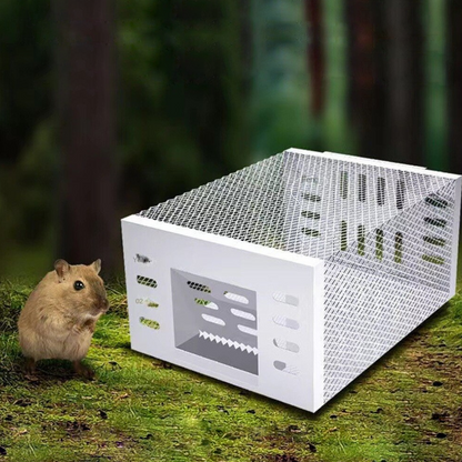 Muizenval - SafeCatch - Humane Ontwerp - Herbruikbaar voor Meerdere Muizen