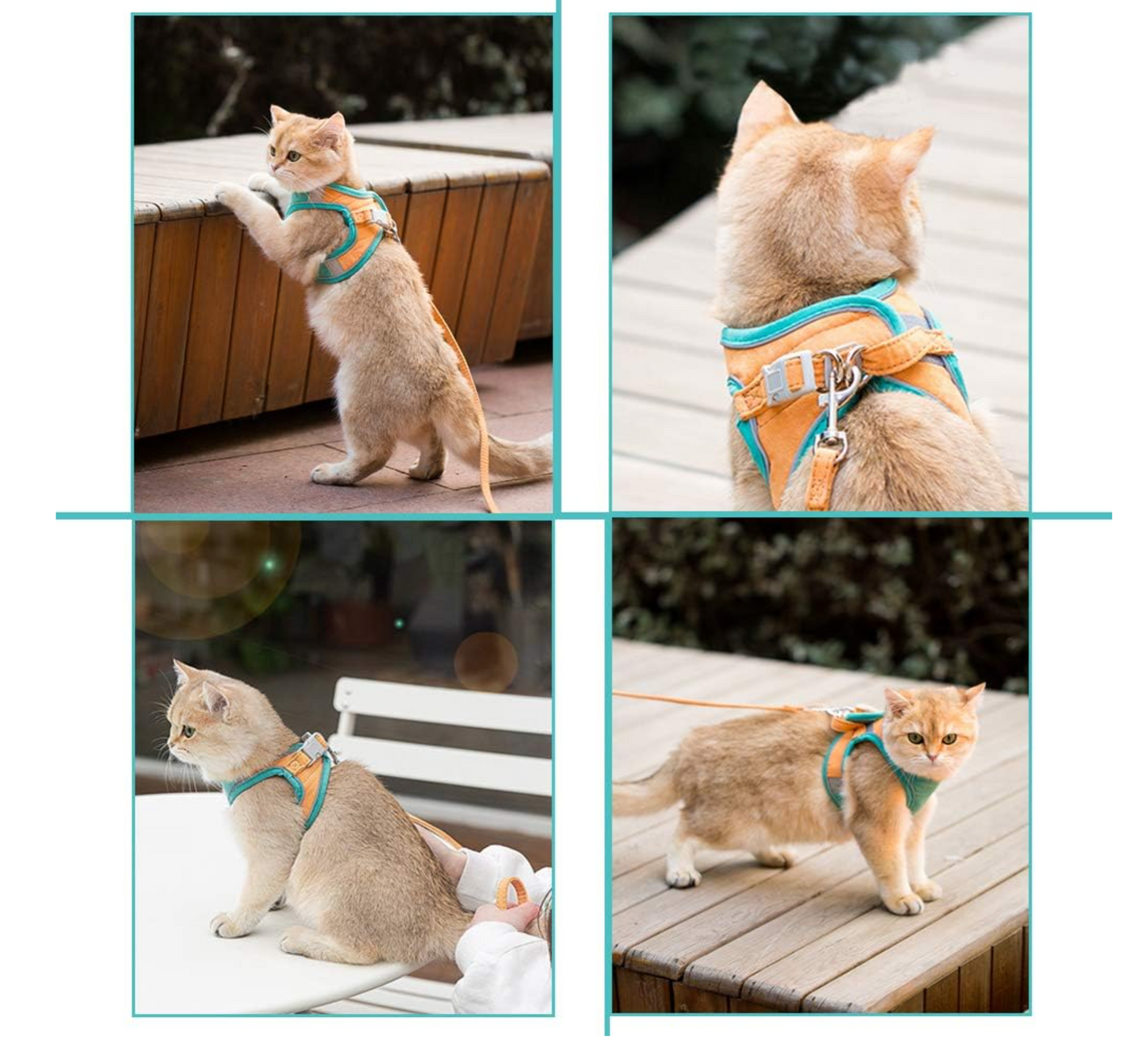 Ontsnappingsproof Kattenharnas met Lijn – Veilig & Comfortabel voor Buiten