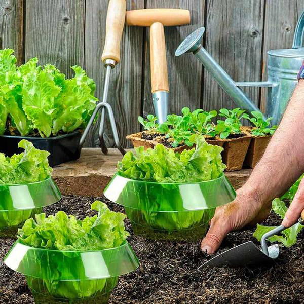Tuinringen - EcoGuard - Ongedierte Bescherming - Slakken Barrière