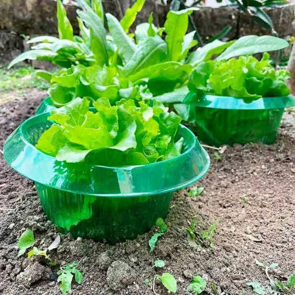 Tuinringen - EcoGuard - Ongedierte Bescherming - Slakken Barrière