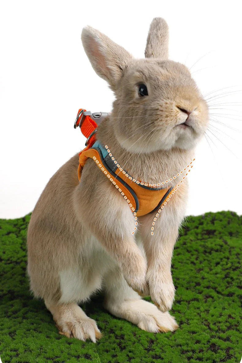 Bunny Harnas - PetTrek - Verstelbare Pasvorm - Reflecterende Leash