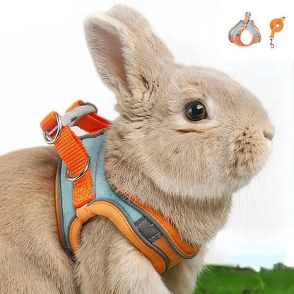 Bunny Harnas - PetTrek - Verstelbare Pasvorm - Reflecterende Leash