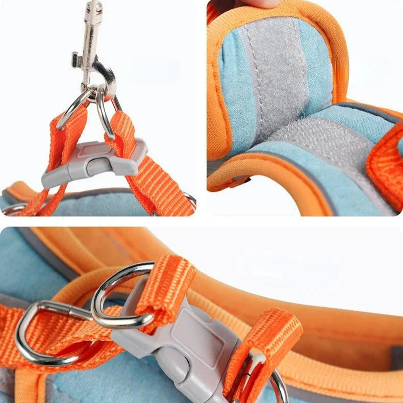 Bunny Harnas - PetTrek - Verstelbare Pasvorm - Reflecterende Leash