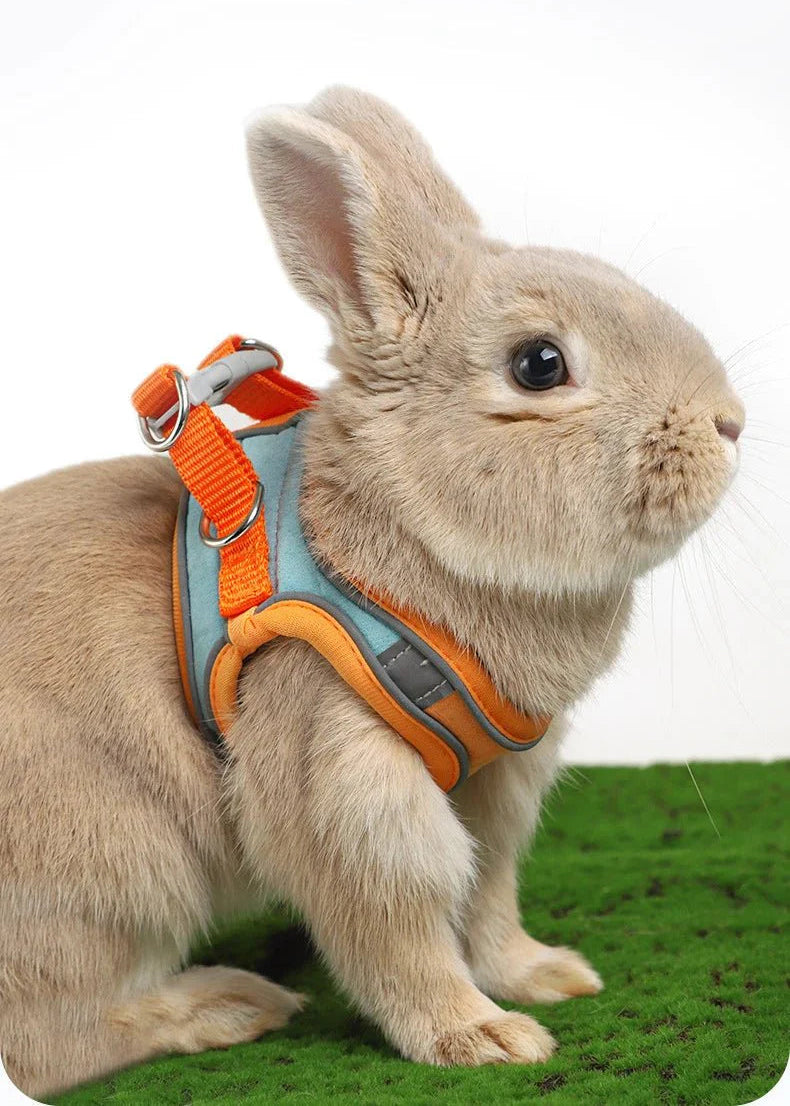 Bunny Harnas - PetTrek - Verstelbare Pasvorm - Reflecterende Leash