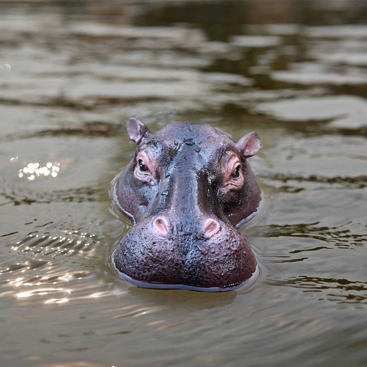 Drijvende Dier Ornament - AquaCraft - Nijlpaard Ontwerp - Waterdecoratie