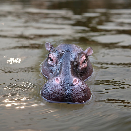 Drijvende Dier Ornament - AquaCraft - Nijlpaard Ontwerp - Waterdecoratie