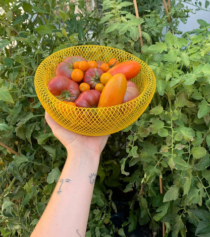 Fruitmand - MeshStyle - Stijlvol Design - Geventileerde Opslag