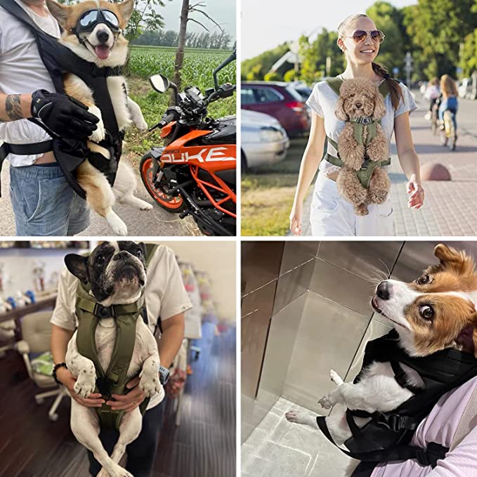 Honden Draagtas Rugzak - PetCarry - Handsfree Ontwerp - Comfortabel Vervoer