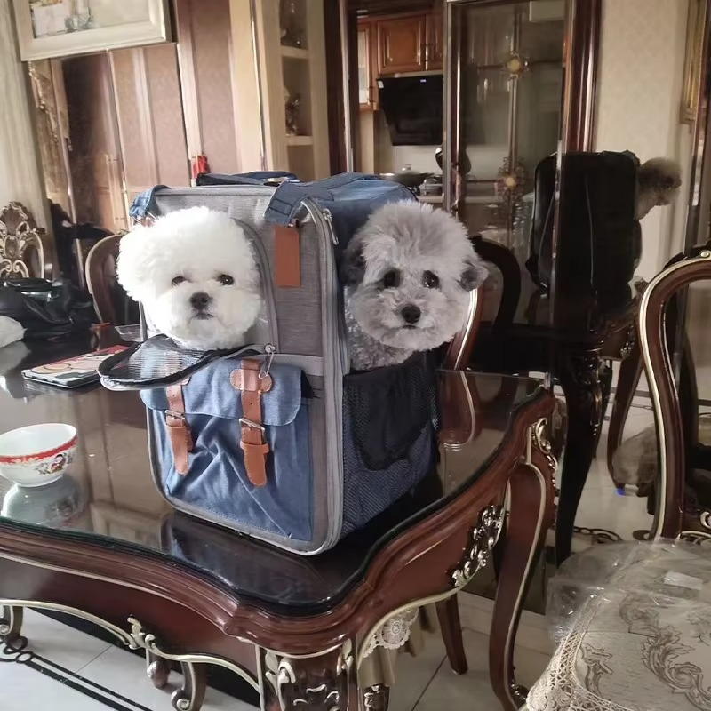 Dierenrugzak - PawLift - Ademend ontwerp - Waterdichte buitenkant