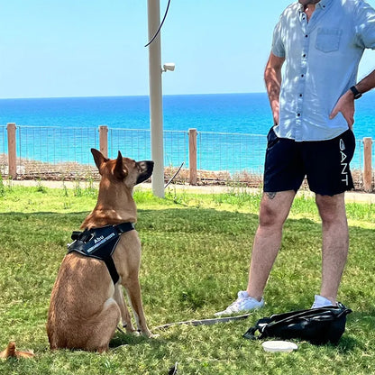 Gepersonaliseerd Hondentuigje - PawSafe - Trekvrij Ontwerp - Reflecterend en Verstelbaar