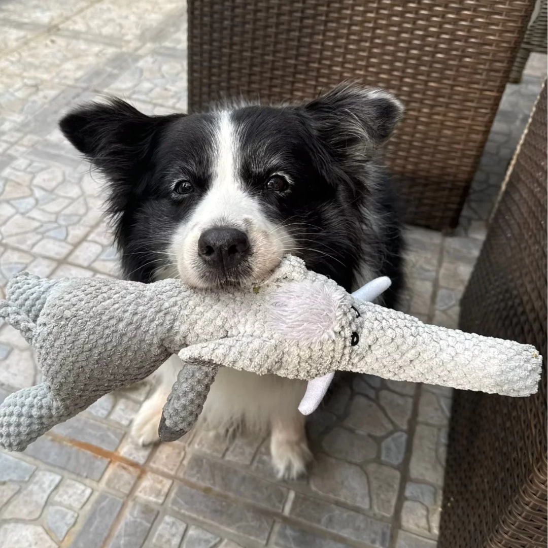 Honden Kauwspeelgoed - ChewZoo - Sterk Materiaal - Boeiend Ontwerp