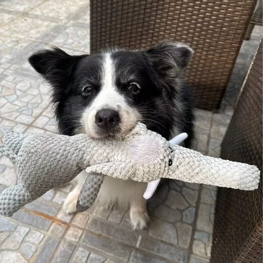 Honden Kauwspeelgoed - ChewZoo - Sterk Materiaal - Boeiend Ontwerp