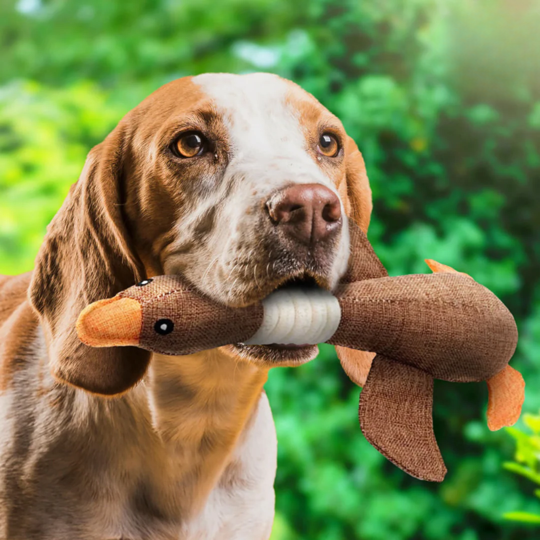 Honden Pluche Gans Speelgoed - GooseBuddy - Piepend Plezier - Zachte Textuur