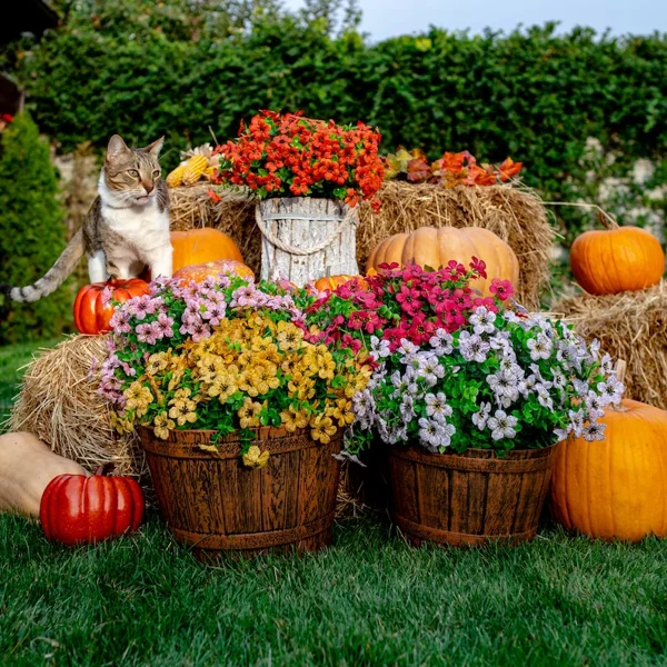 Eucalyptus Bloemen - GreenLeaf - Frisse Geur - Natuurlijke Decoratie